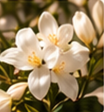 White floral bouquet
